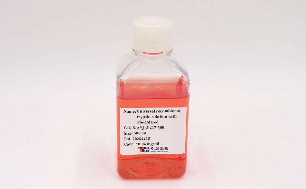 Recombinant Trypsin Solution