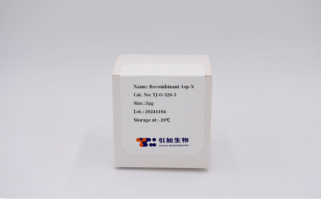 Recombinant Asp-N