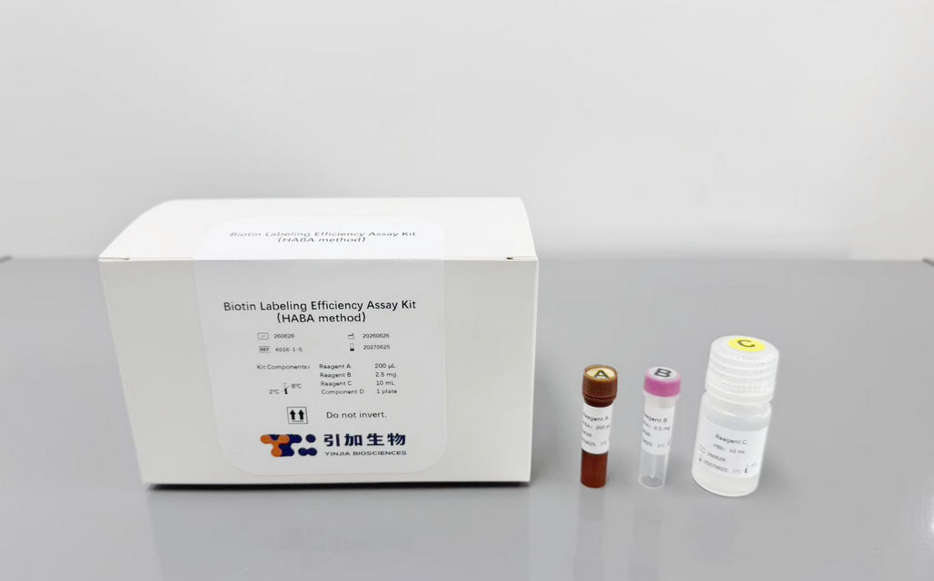 Biotin Labeling Efficiency Assay Kit (HABA method）