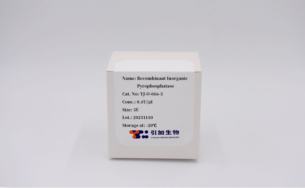 Recombinant Inorganic Pyrophosphatase