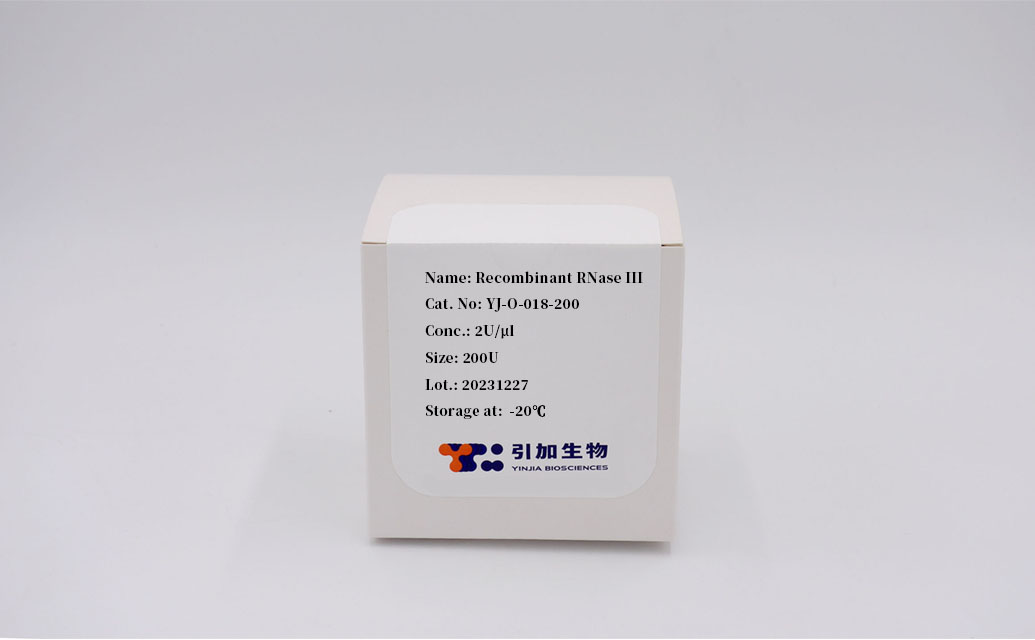 Recombinant RNase III