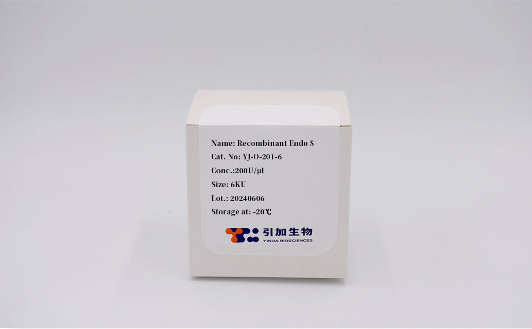 Recombinant Endo S
