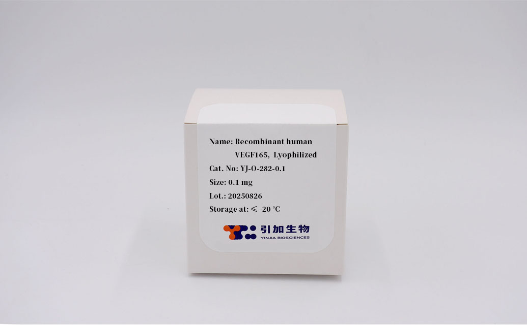 Recombinant human VEGF165, Lyophilized