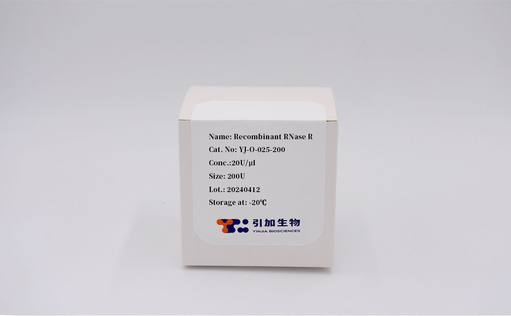 Recombinant RNase R