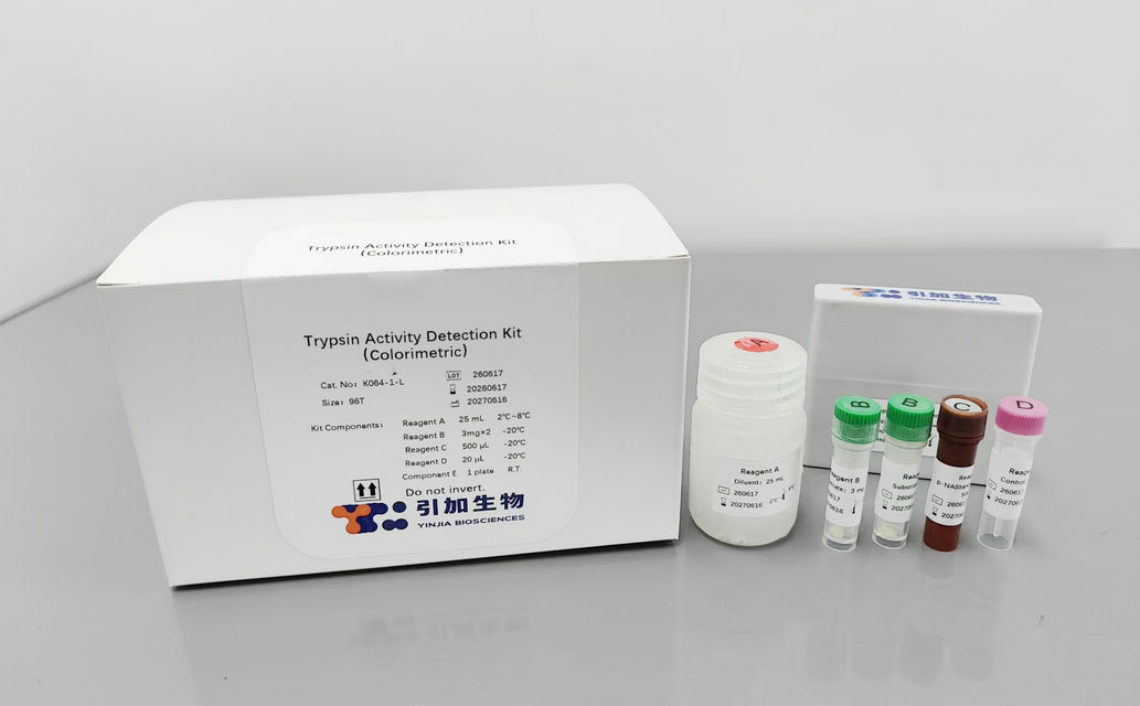 Trypsin Activity Detection Kit (Colorimetric）