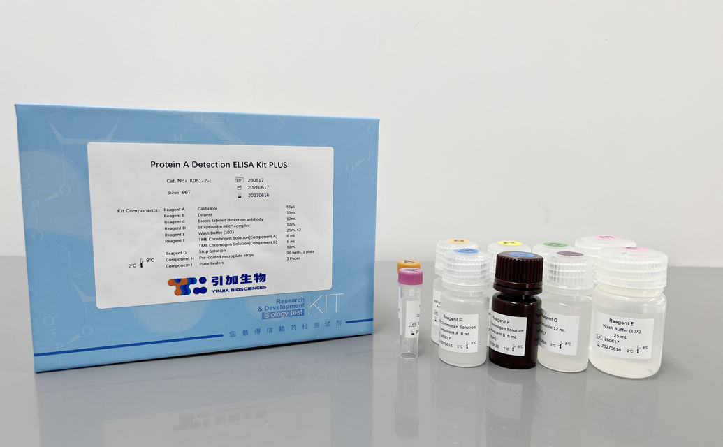 Protein A Detection ELISA Kit PLUS