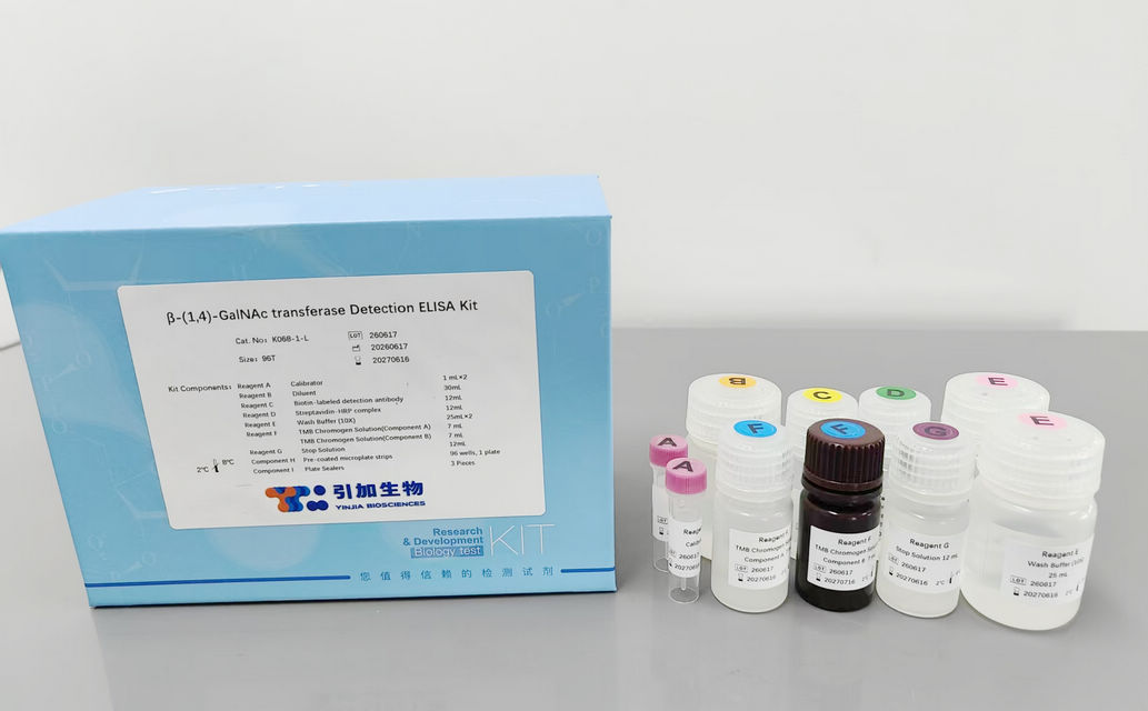 β-(1,4)-GalNAc transferase Detection ELISA Kit