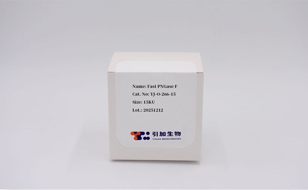 Fast PNGase F
