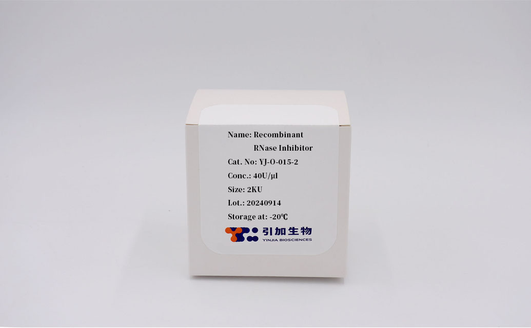 Recombinant RNase Inhibitor