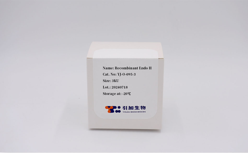 Recombinant Endo H