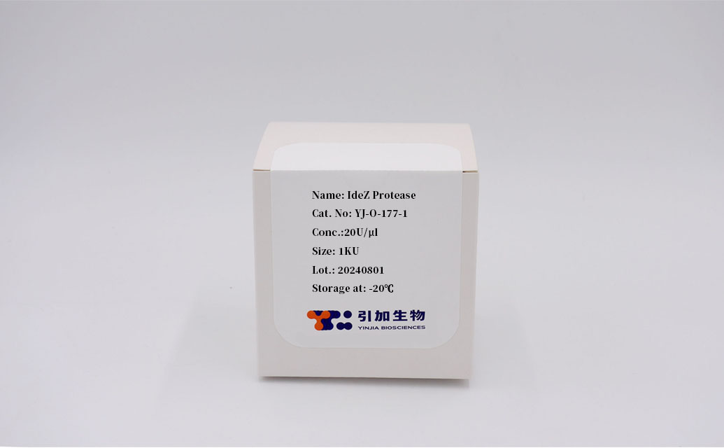 IdeZ Protease