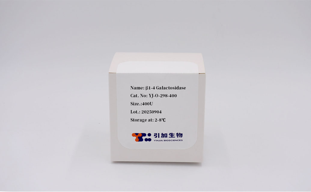 β1‑4 Galactosidase