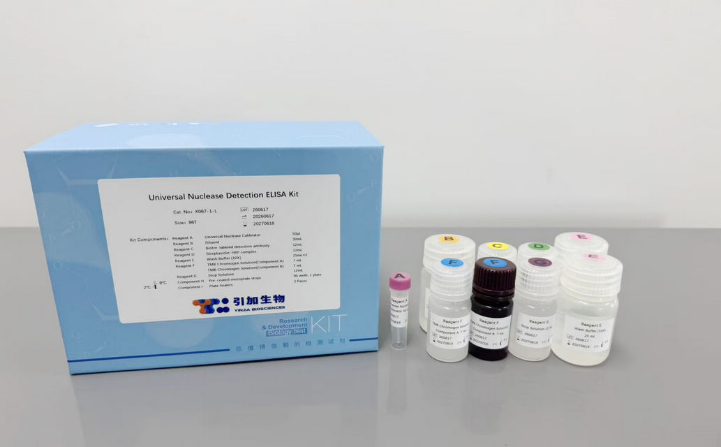 Universal Nuclease Detection ELISA Kit