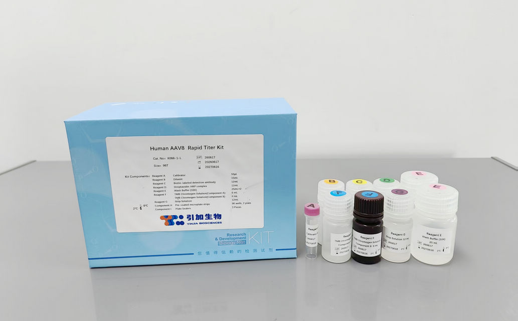 Human AAV8 Rapid Titer Kit